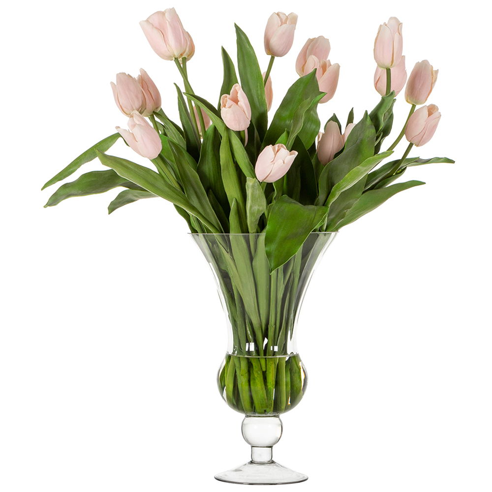 Tulip in High Footed Glass Pink Green