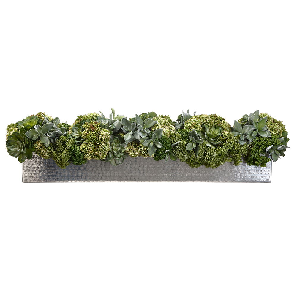 Succulent/Sedum in Planter Green