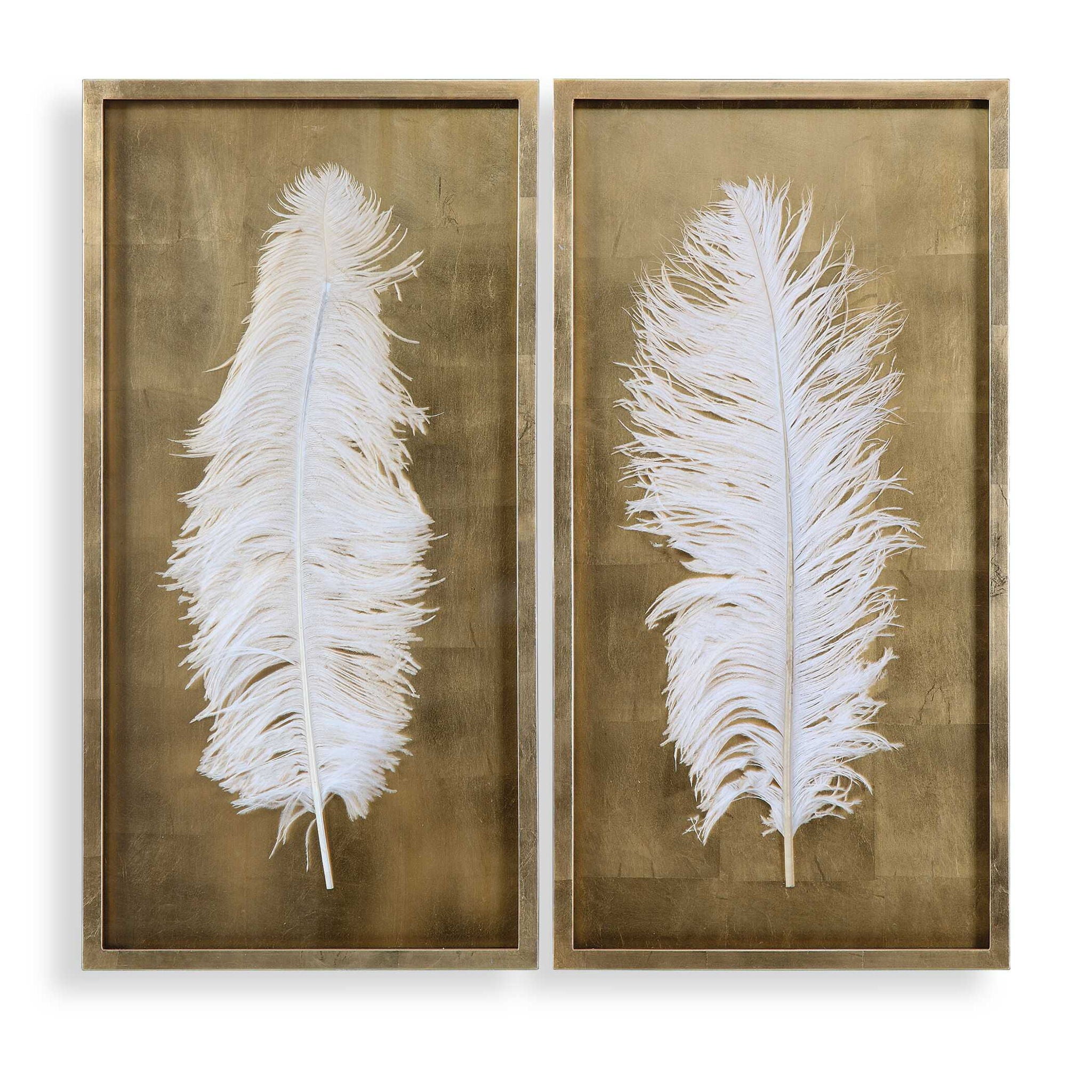 White Feathers - Shadow Box (Set of 2) - Gold