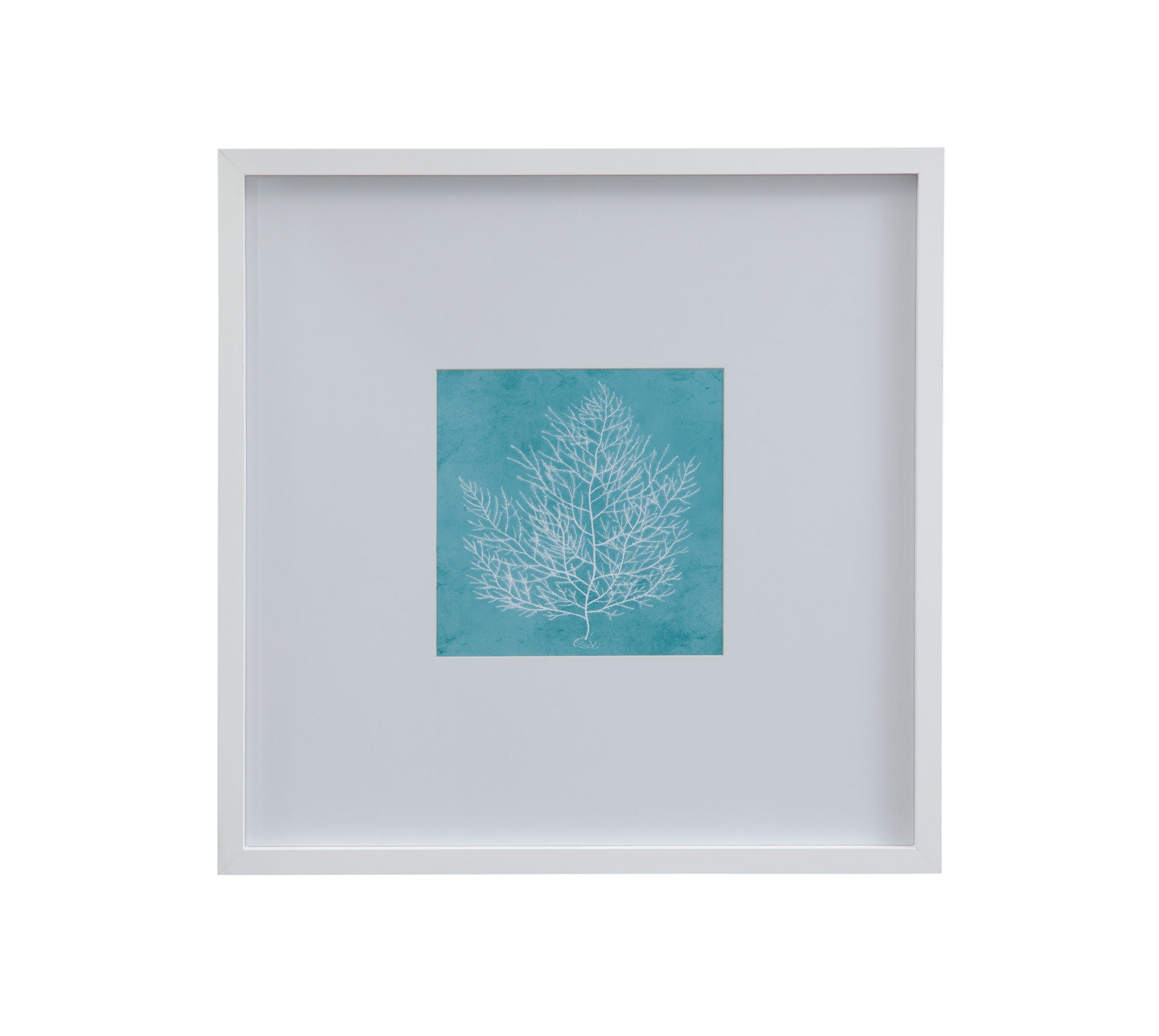White Coral On Blue I Framed Print - Blue / White