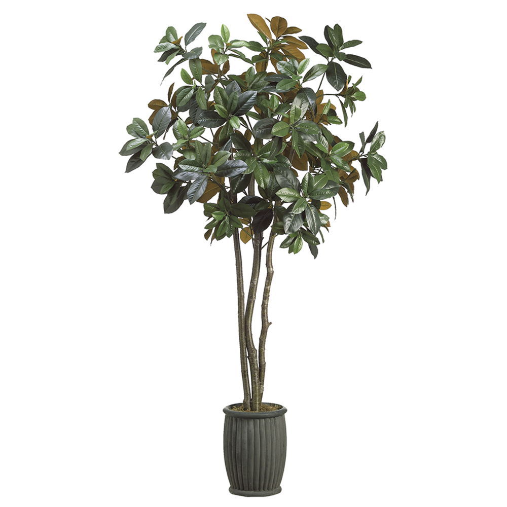 Magnolia Tree in Fiber Cement Planter Green Brown