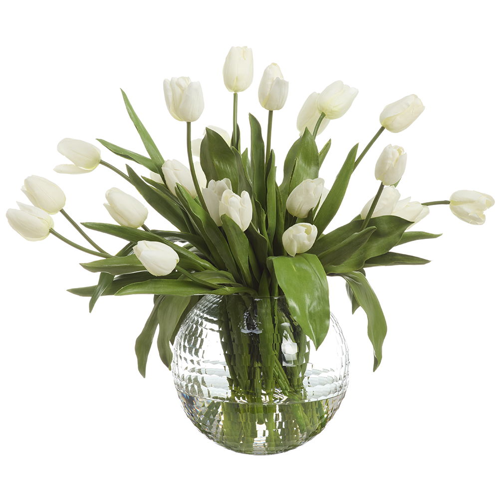 French Tulip in Glass Ball White Green