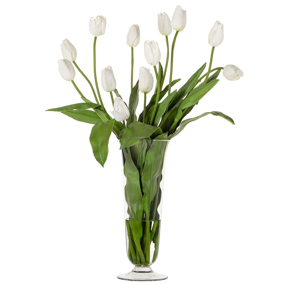 Tall French Tulip in Footed Glass White Green