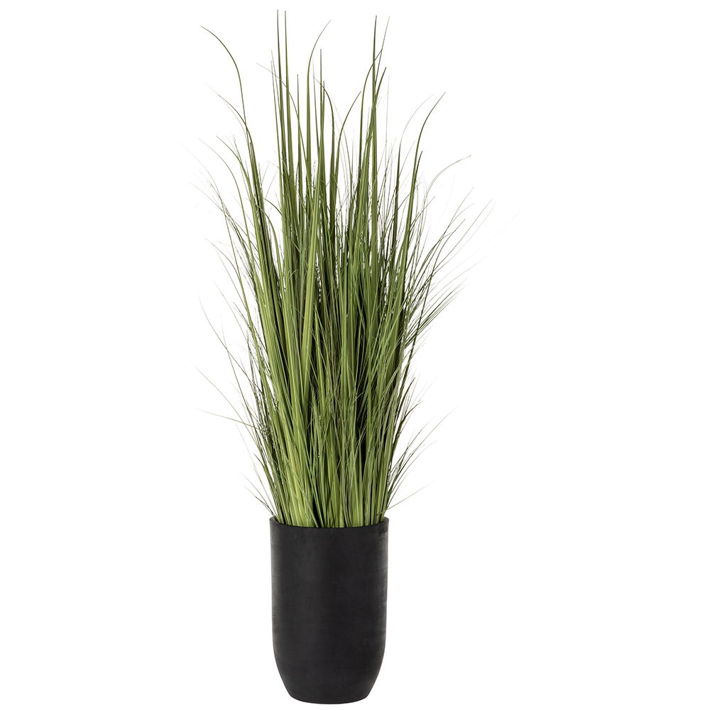 Wild Grass in Black Cement Planter Green Light
