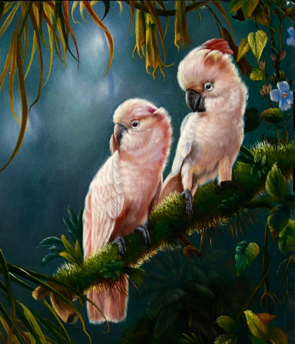 Exotic Bird Trade