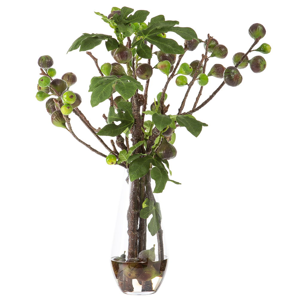 Fig Branches in Glass Vase Green Burgundy