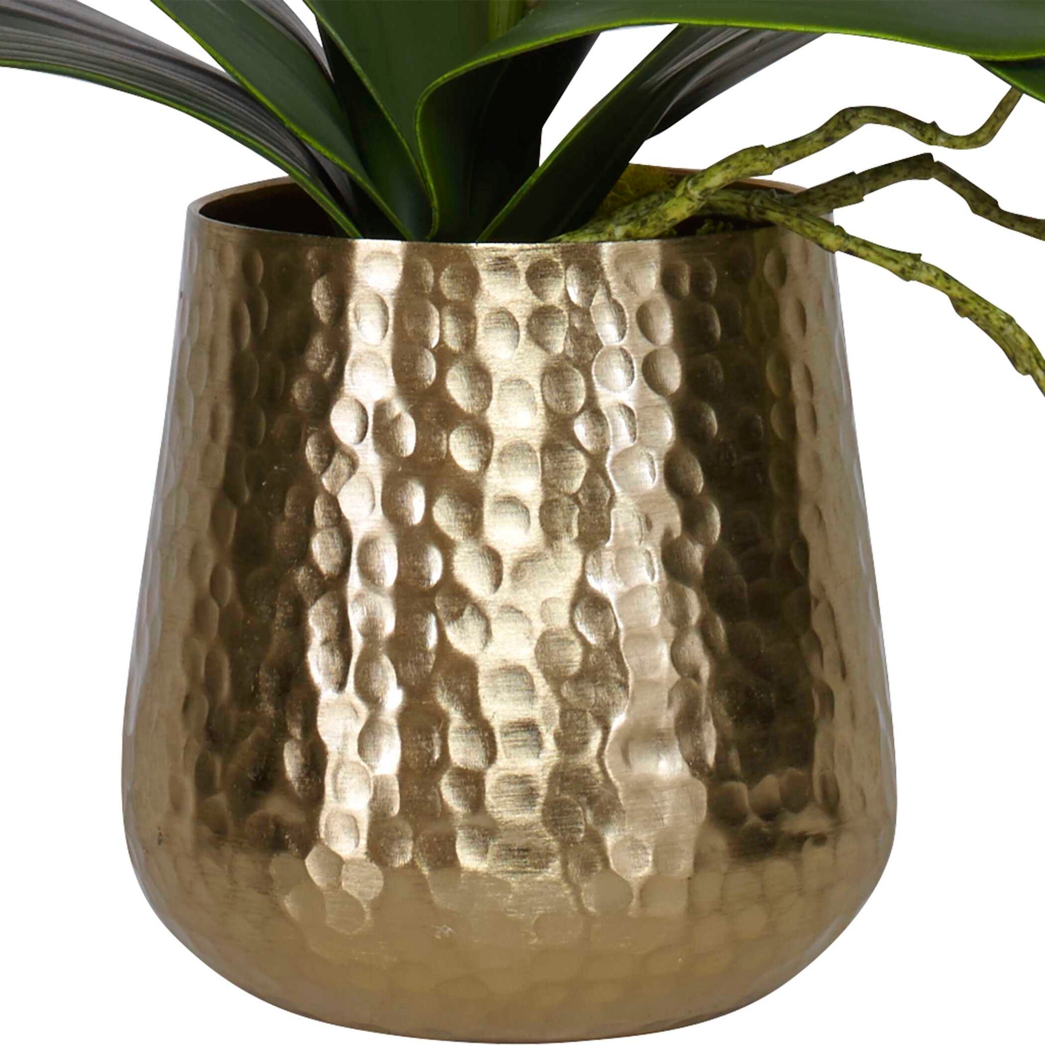 Cami - Orchid With Brass Pot - White