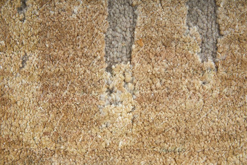 WESTON Collection - 69D3F Beige/Gold