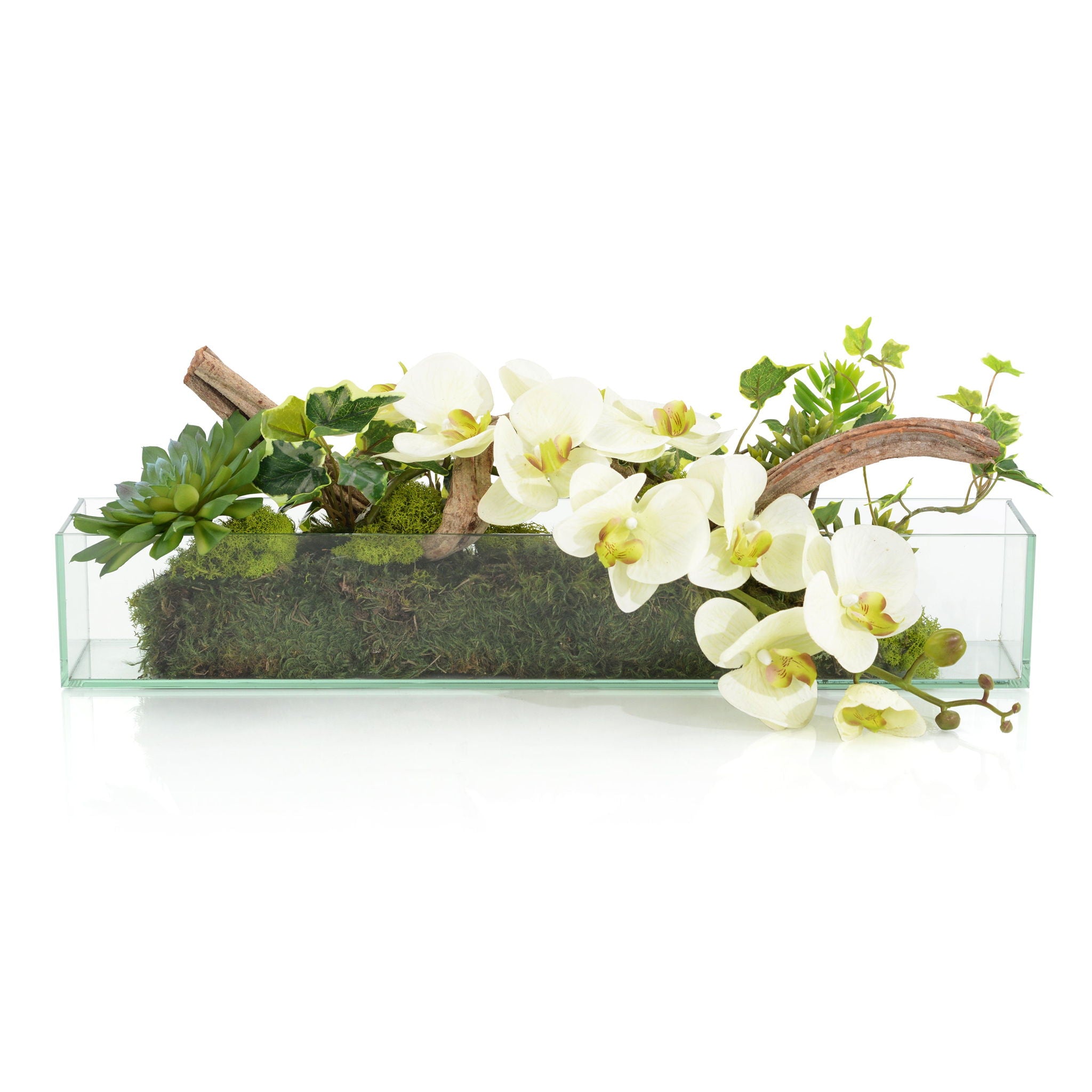 Woodland Wonders