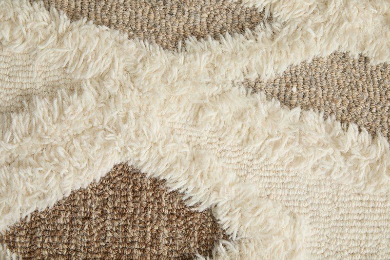 ANICA Collection - 8008F Ivory/Brown