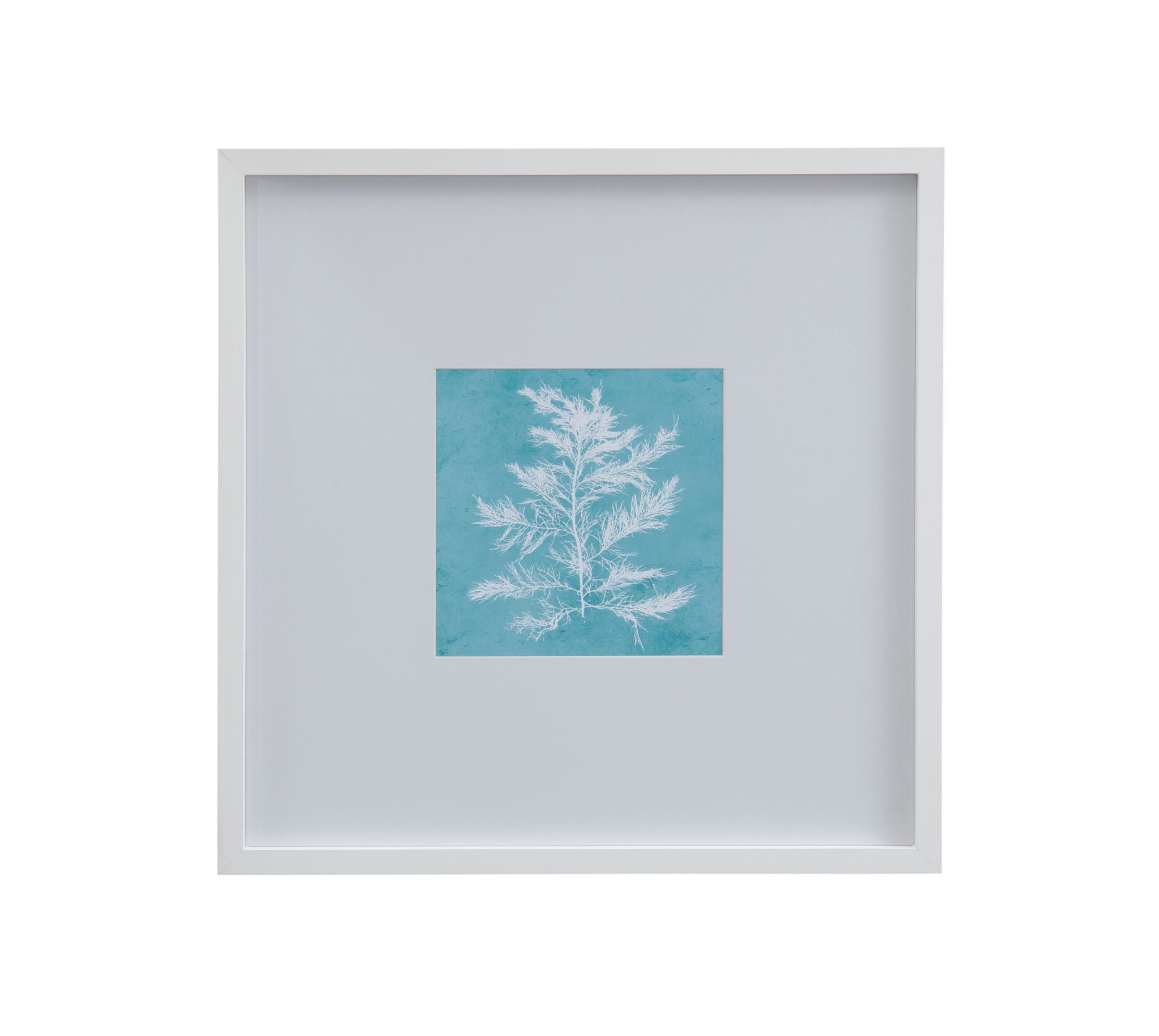 White Coral On Blue IV Framed Print - Blue / White