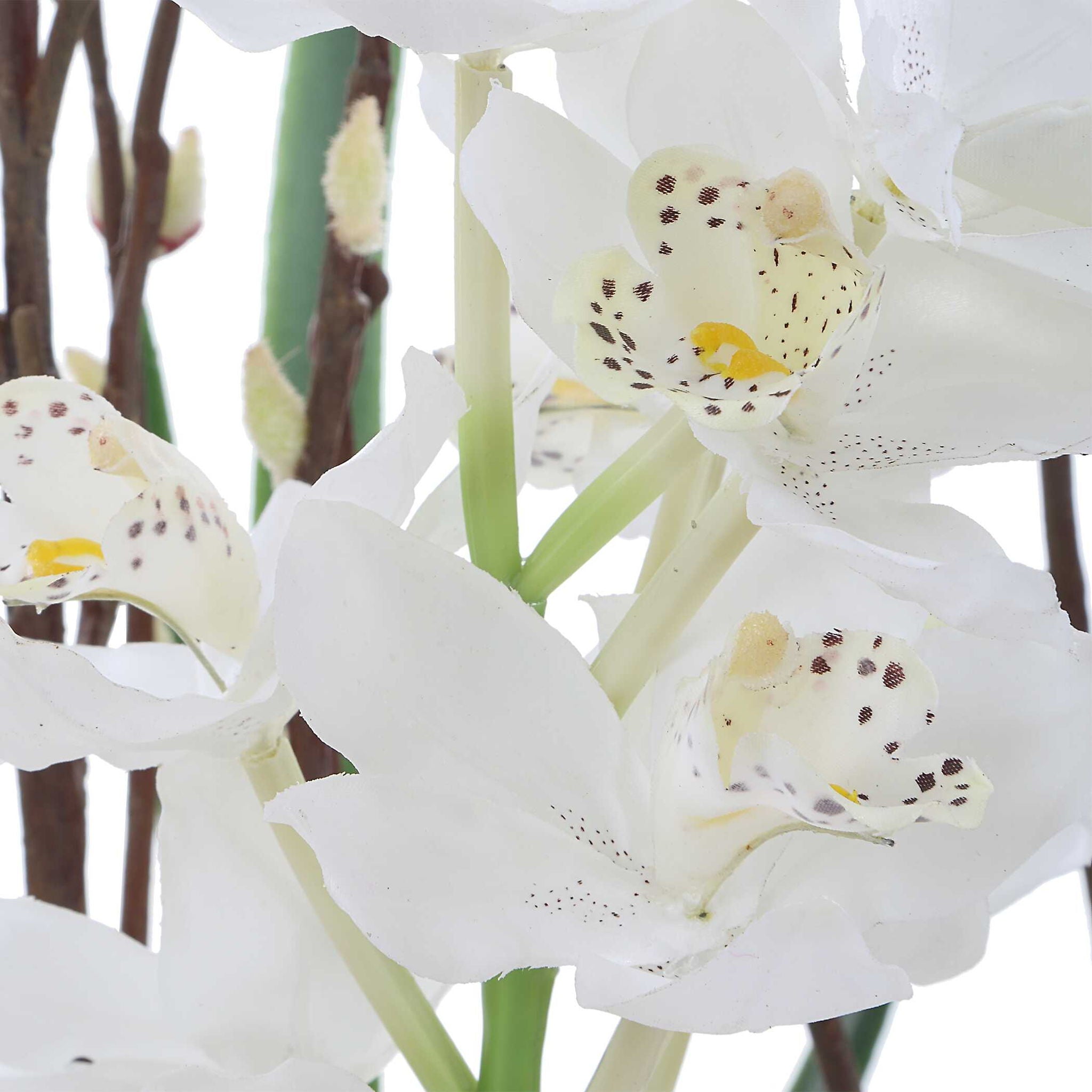Eterna Orchid - Centerpiece & Vase - Black / Green / White