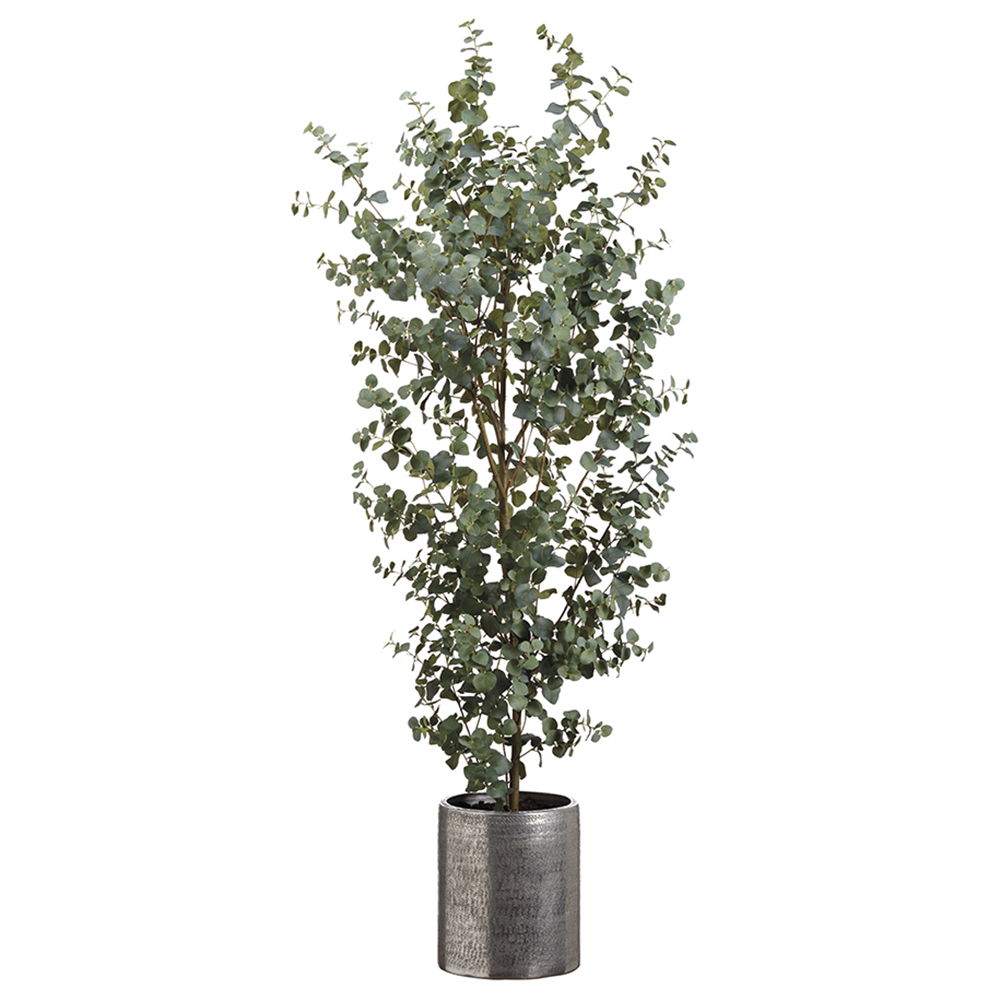 Eucalyptus Tree in Aluminum Planter Green