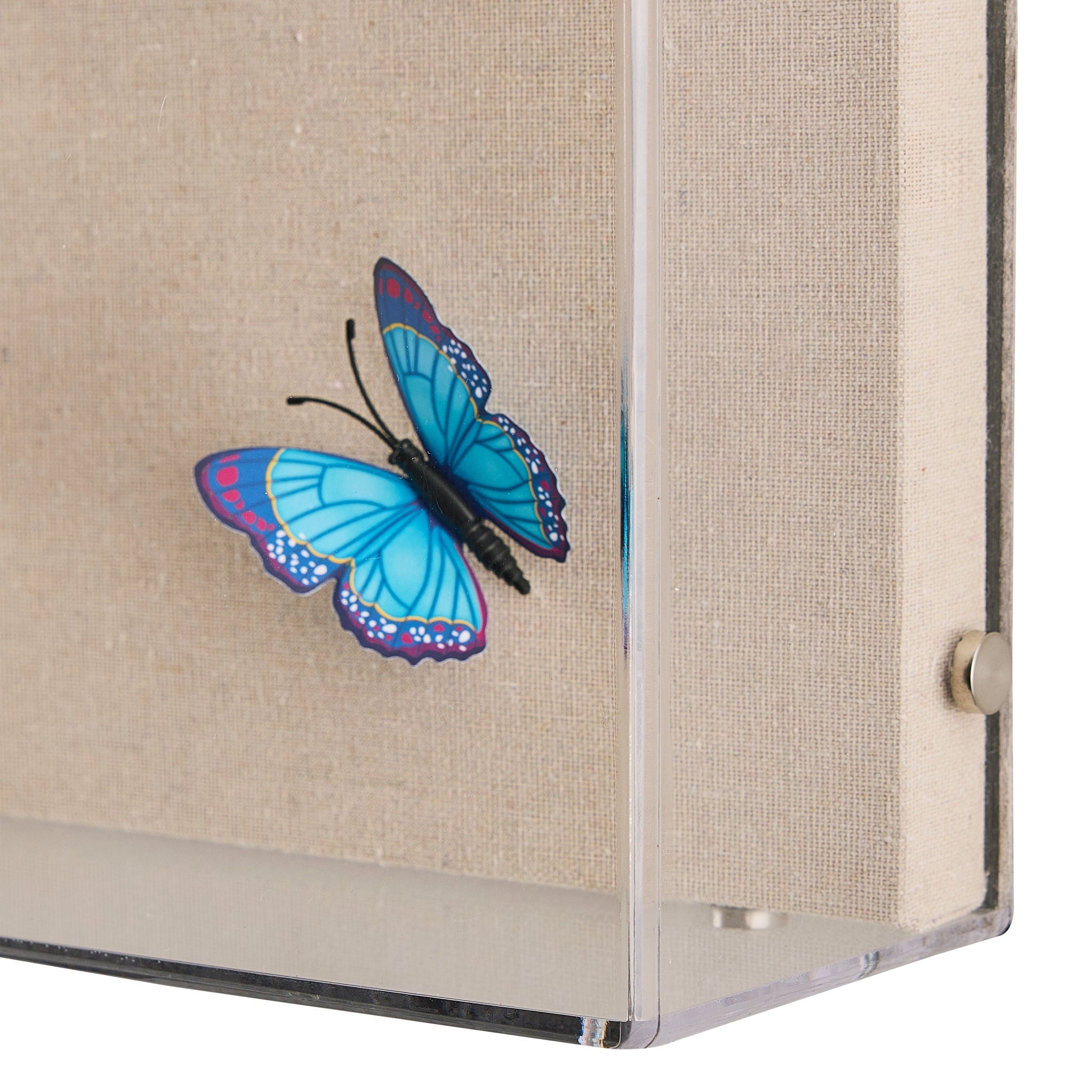 Tony Fey's Flight of the Butterflies