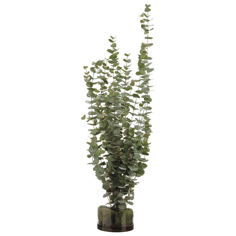 Eucalyptus in Glass Vase Green