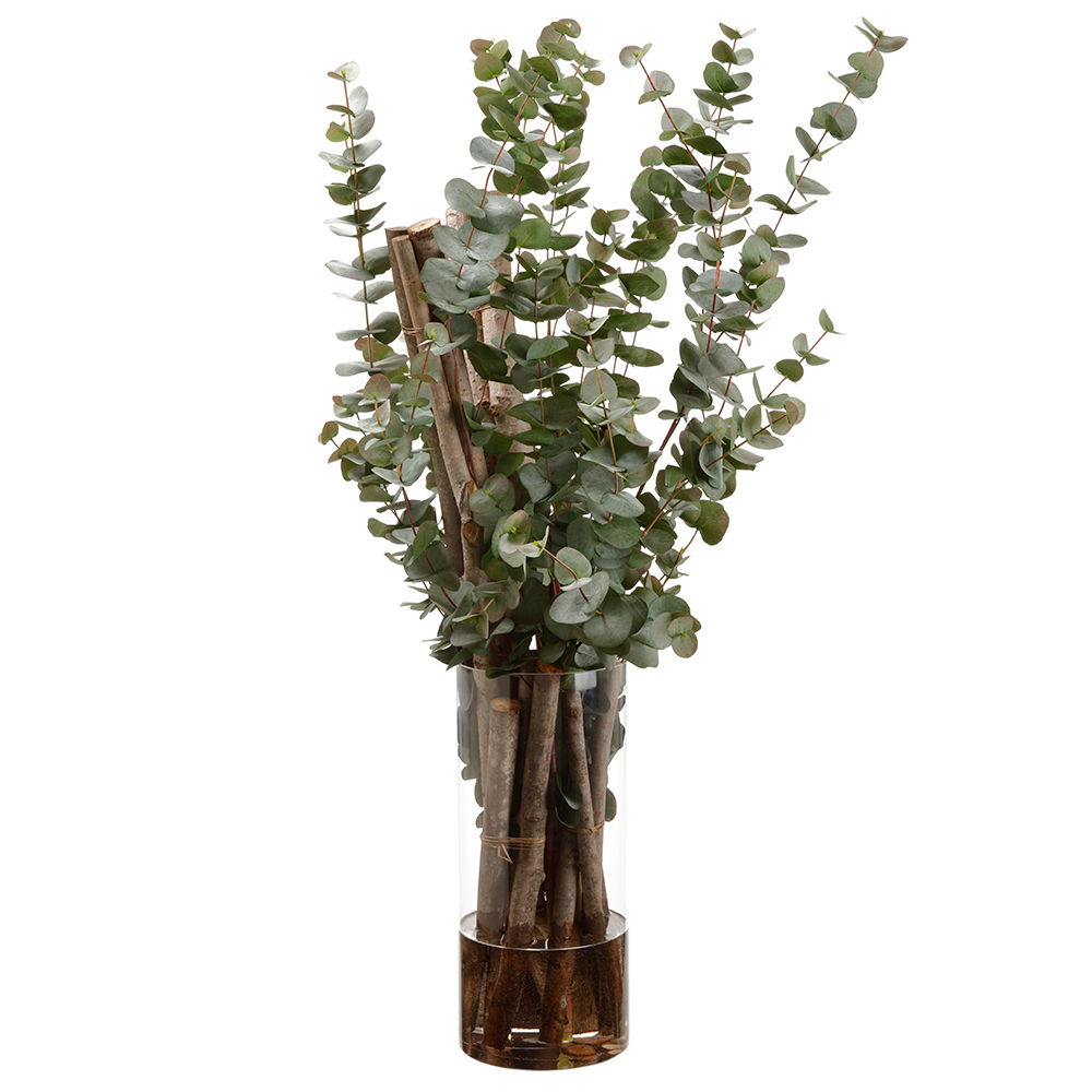 Eucalyptus in Glass Vase Green