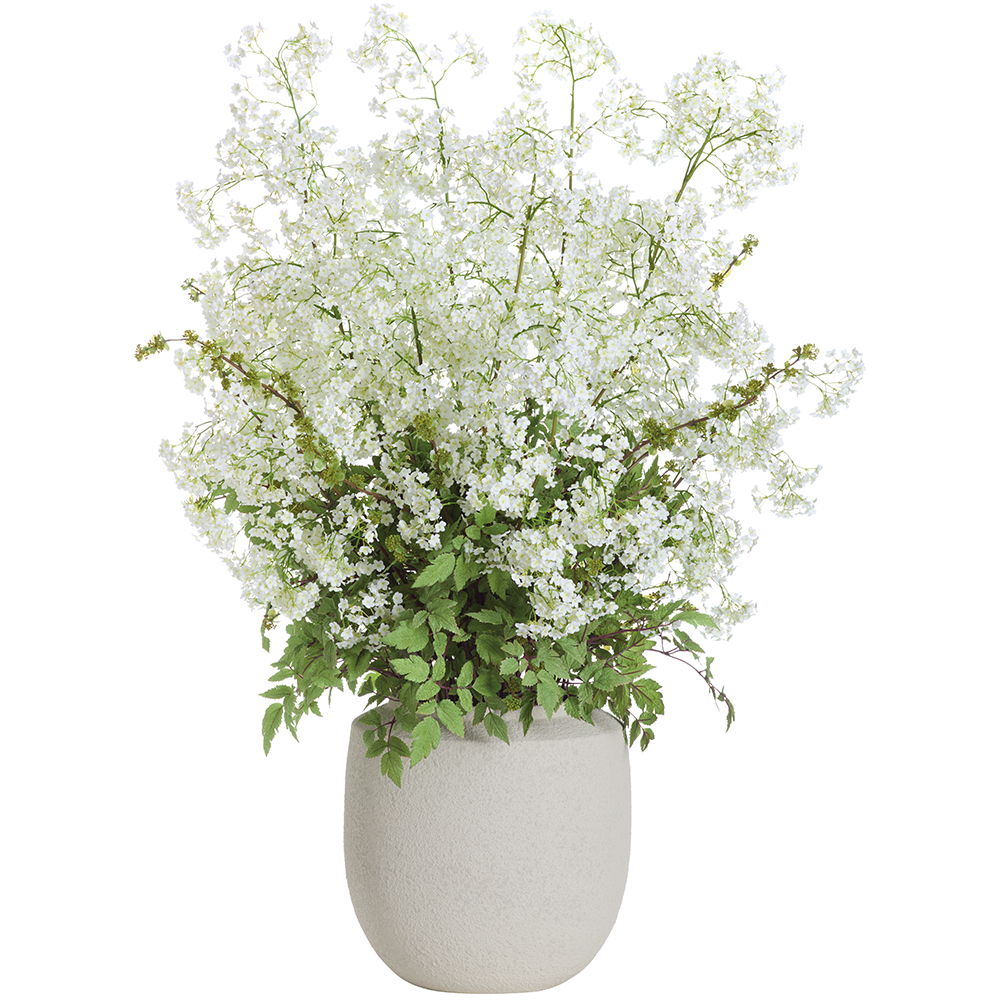 Gypsophila in Terra Cotta Planter White Green