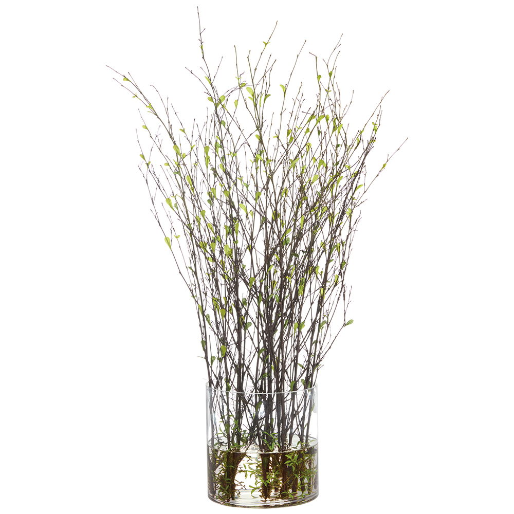 Mini Leaves on Twigs in Glass Vase Green Brown