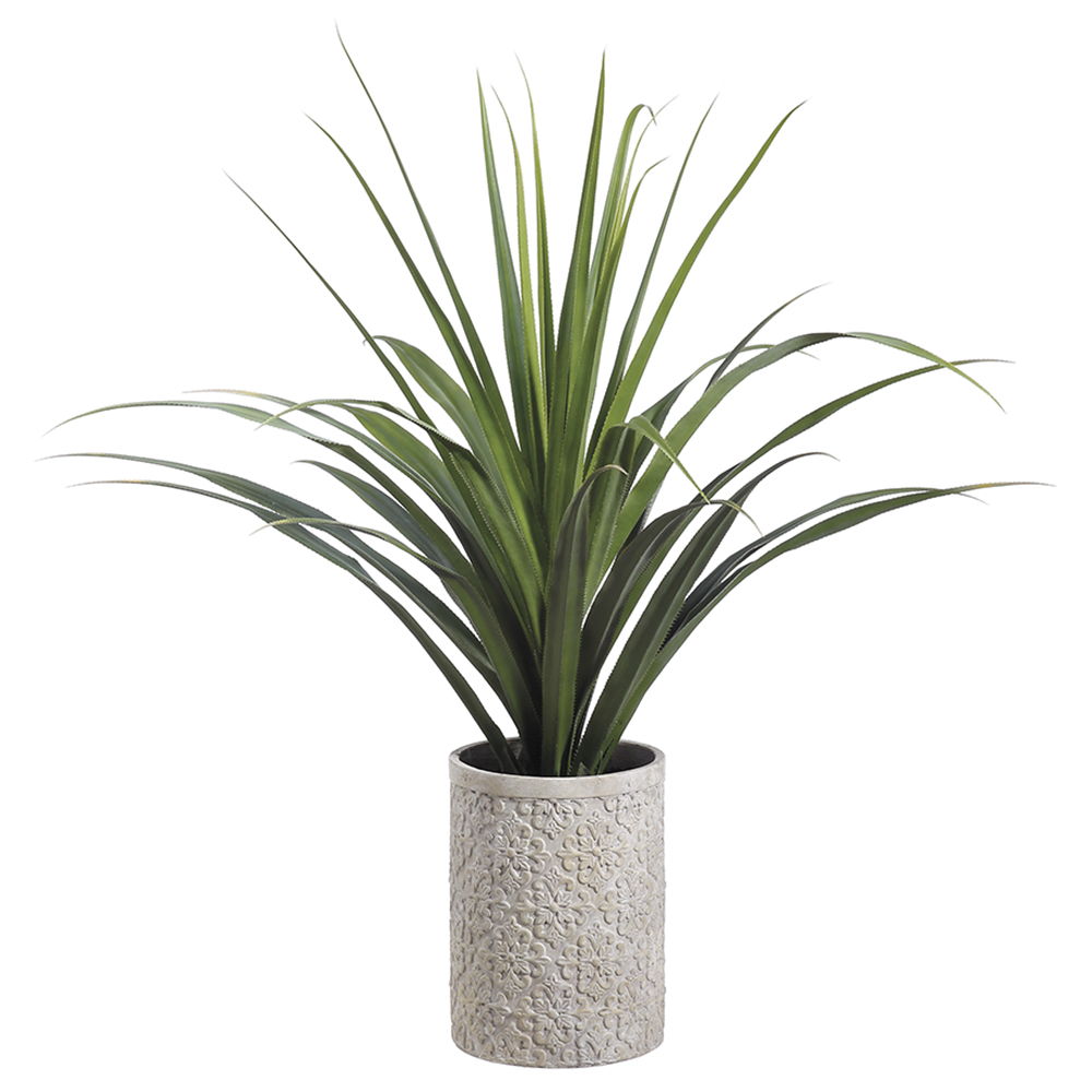 racaena in Fiber Cement Planter Green