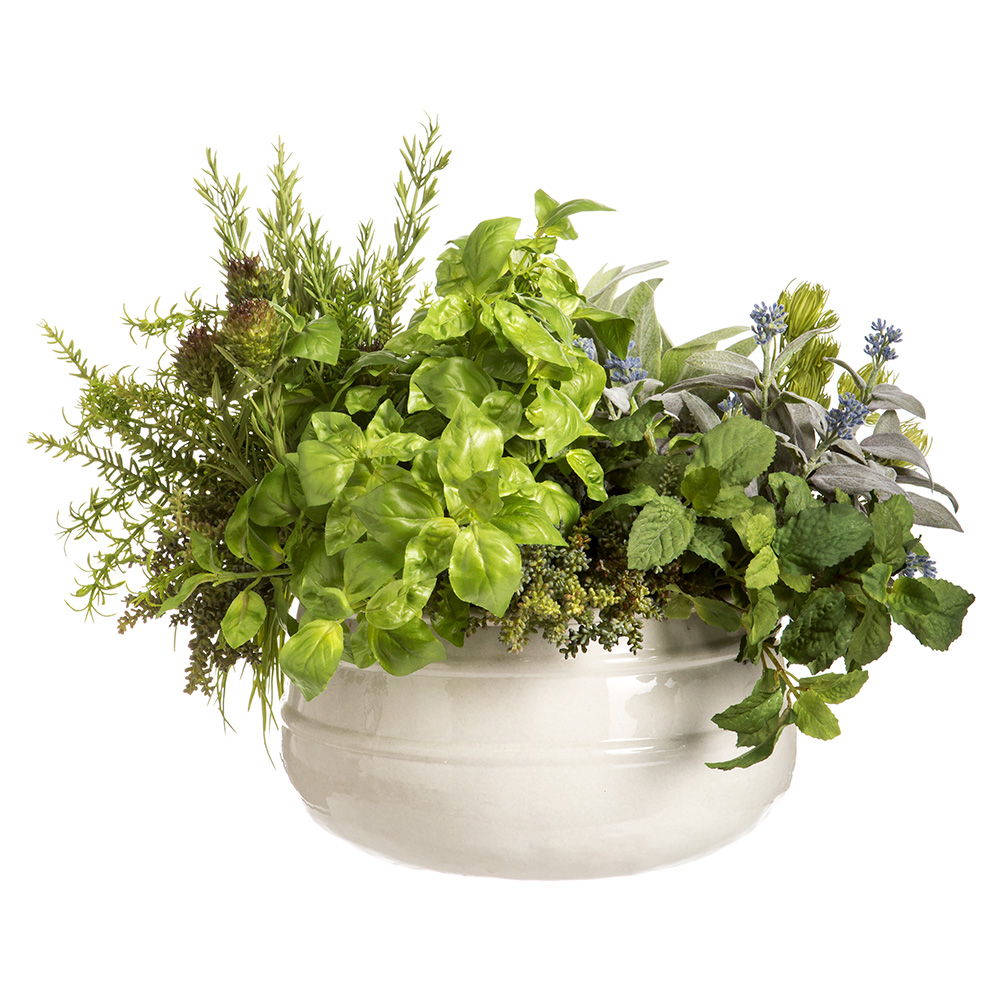 Sedum/Rosemary/Lavender in Pot Green Burgundy