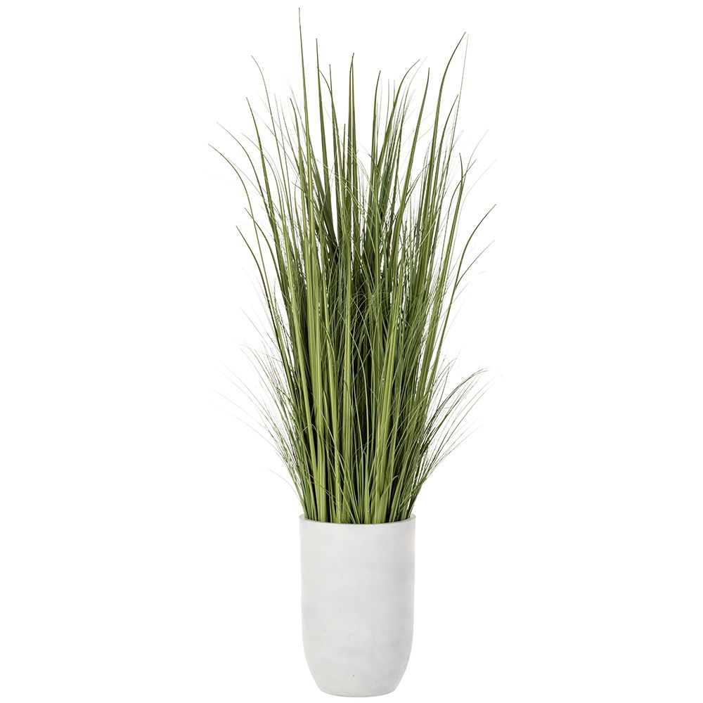 Wild Grass in White Cement Planter Green Light