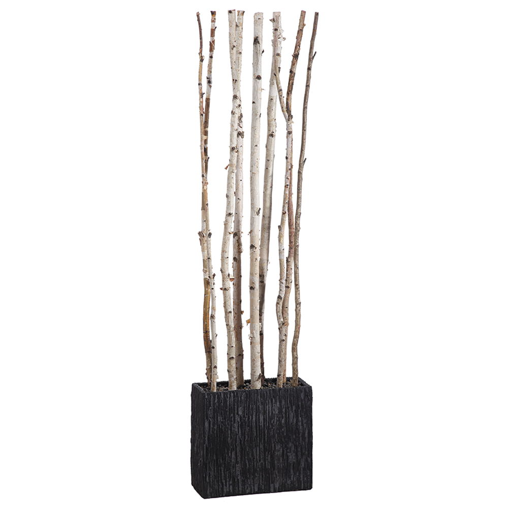 Birch Divider in Rectangular Container White