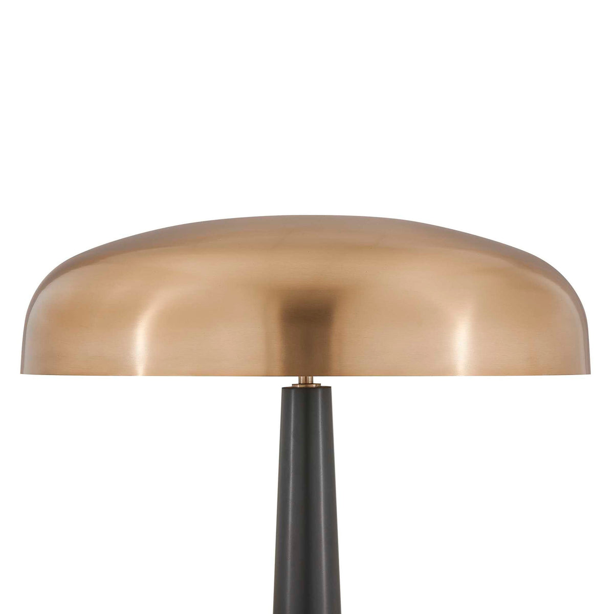 Davis - Floor Lamp - Black,Brass,Gold
