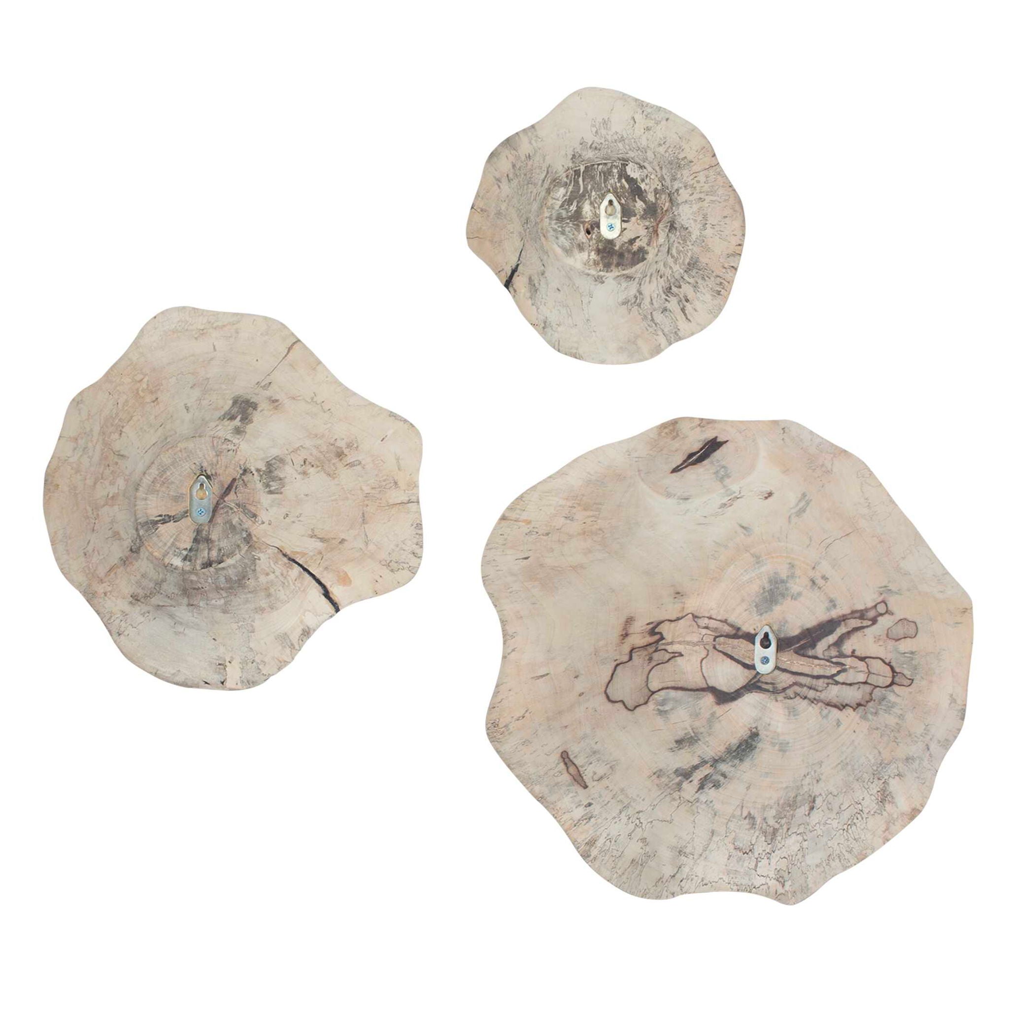 Teo - Wall Decor (Set of 3)