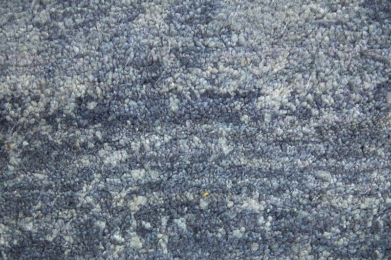 TRINITY Collection - 69CTF Blue