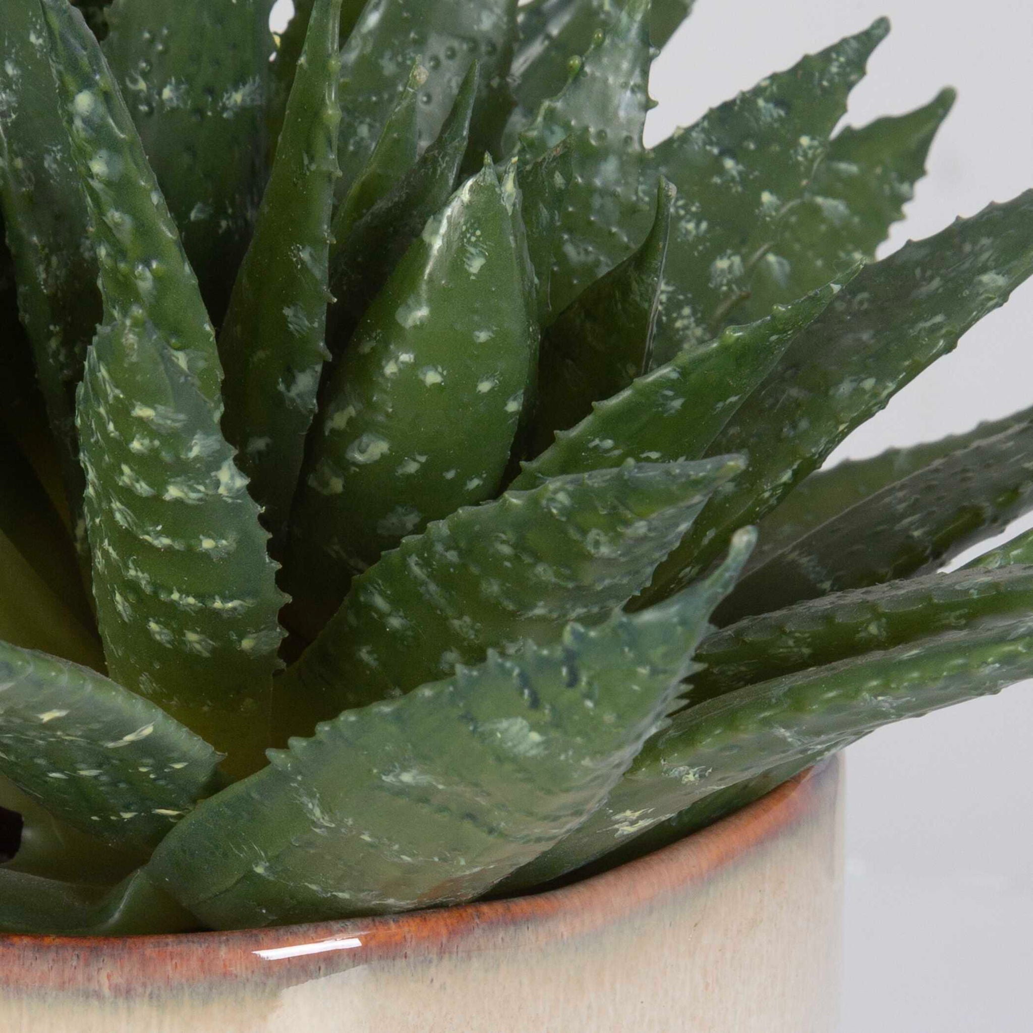 Doha - Succulent Accent - Pearl Silver
