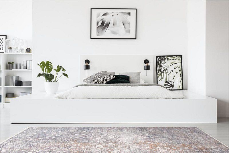 CECILY Collection - 3573F Sunset
