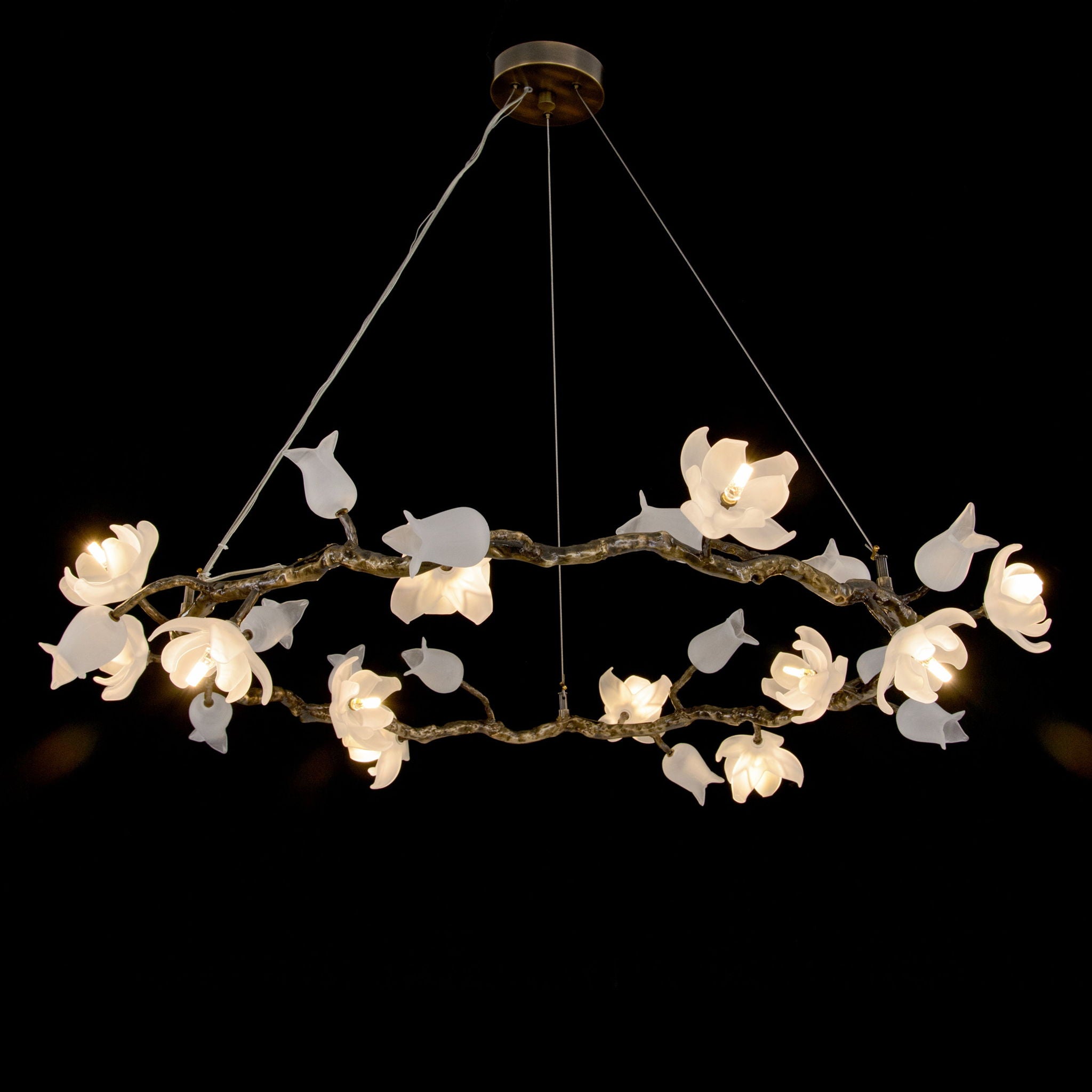 Churippu Magnolia & Tulip Glass Bronze Twelve-Light Halo Chandelier