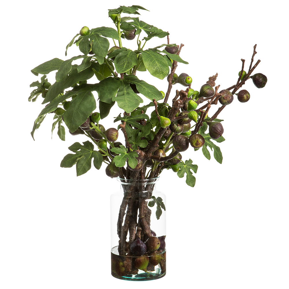 Fig Branches in Glass Vase Green Burgundy