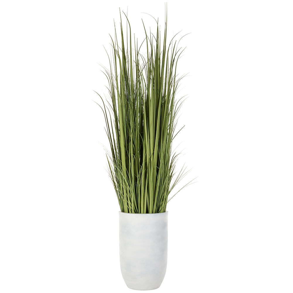 Wild Grass in White Cement Planter Green Light
