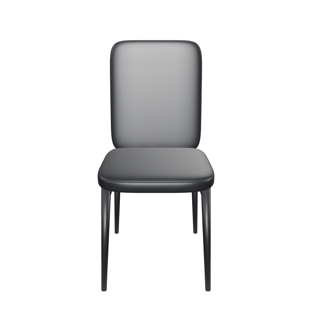 Fitz3D Bellini 2026-09-28 | aloe-blk-standard
