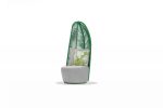 Basil Outdoor Chair