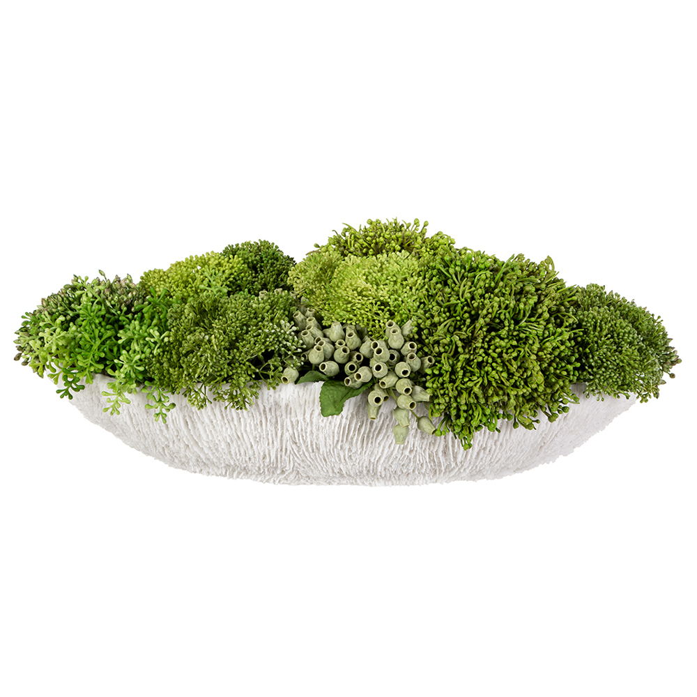 Mixed Sedum in Low Coral Vase Green Light