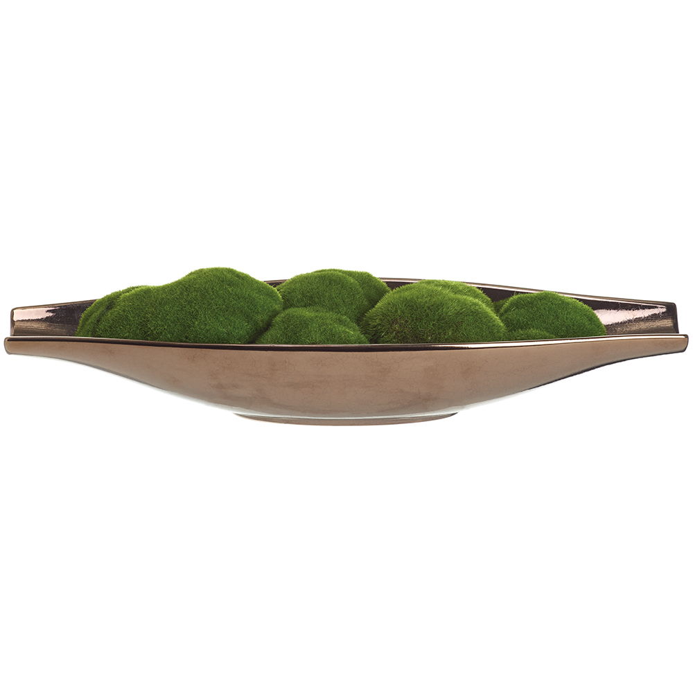 Moss in Ceramic Plate Green