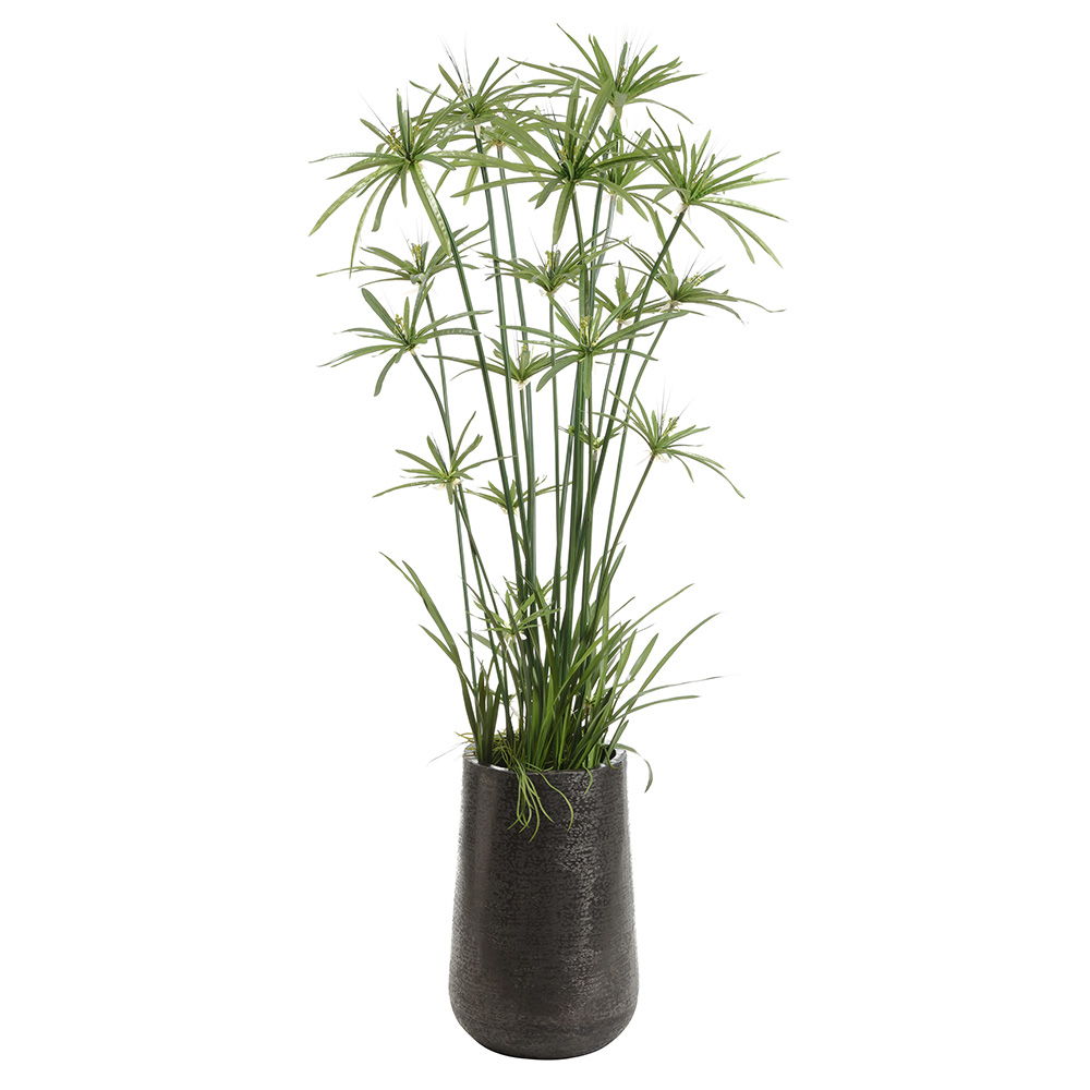 Cypress Grass Tree In 23"Hx15"D Textured Planter Green