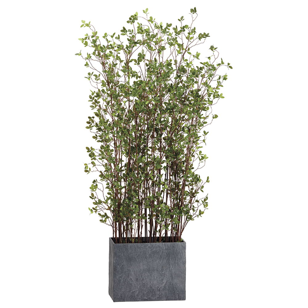 Mini Leaf Plant in Planter Green
