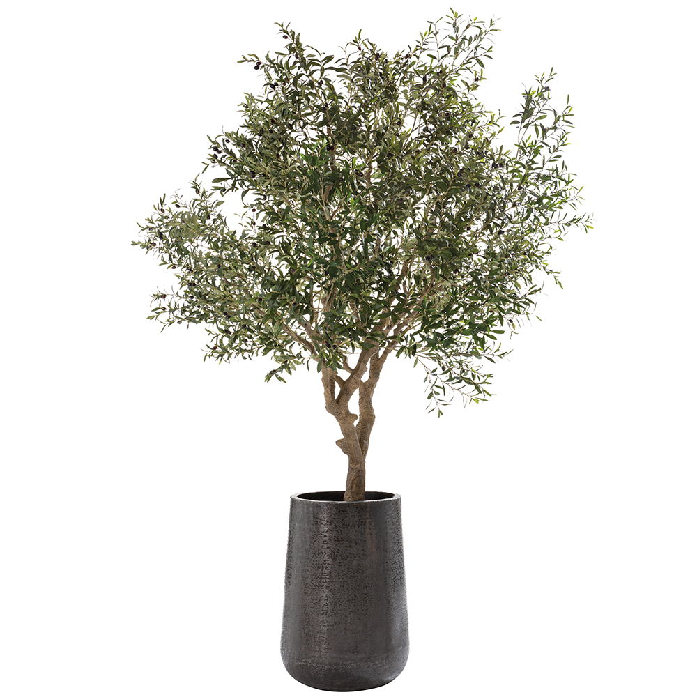Olive Tree in Aluminum Planter Green