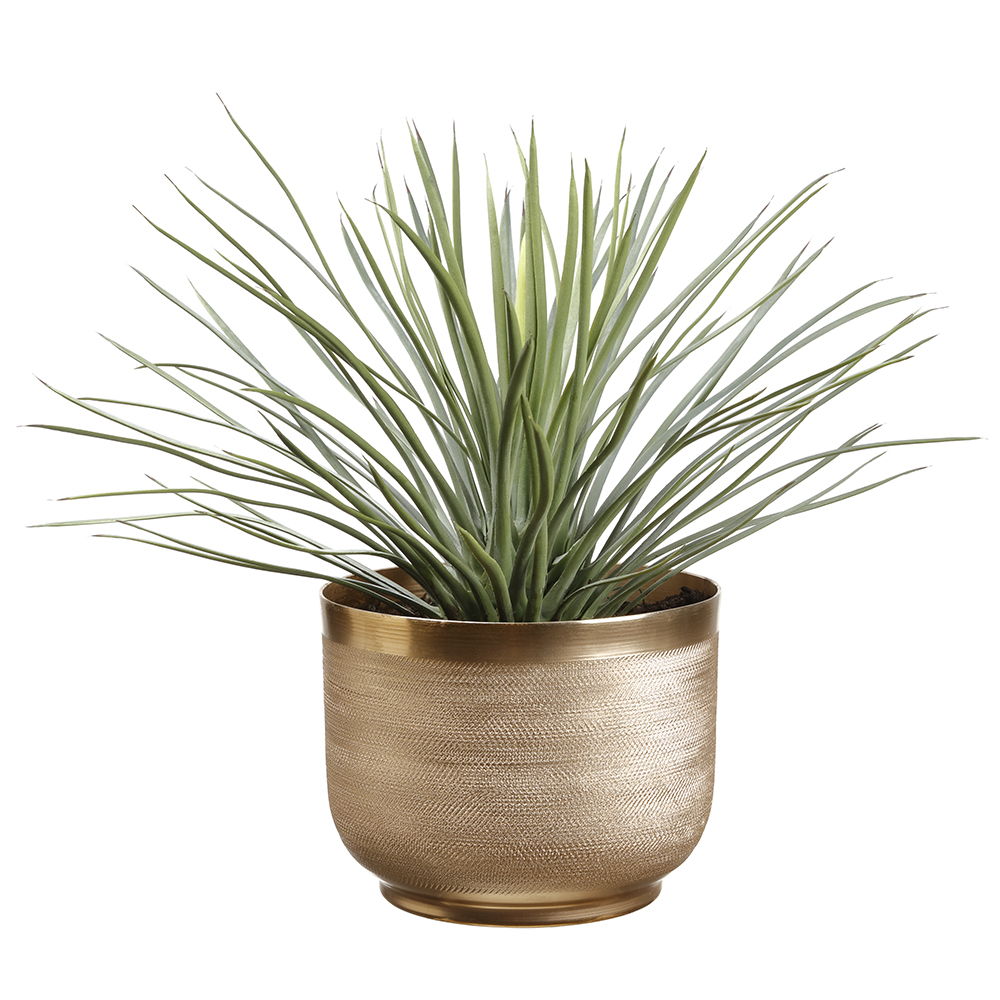 Yucca Plant In 6"Hx7.75"D Textured Planter Green Gray
