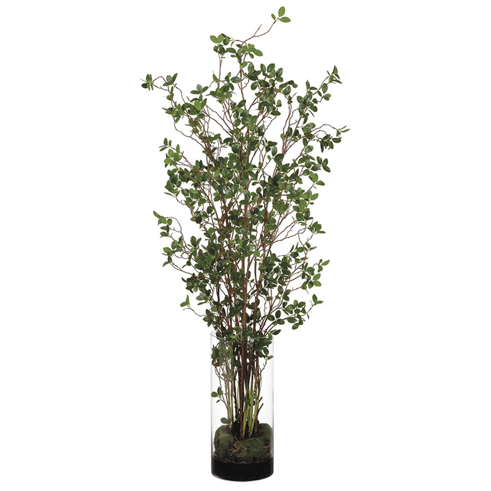 Mini Leaf Plant in Cylinder Glass Green