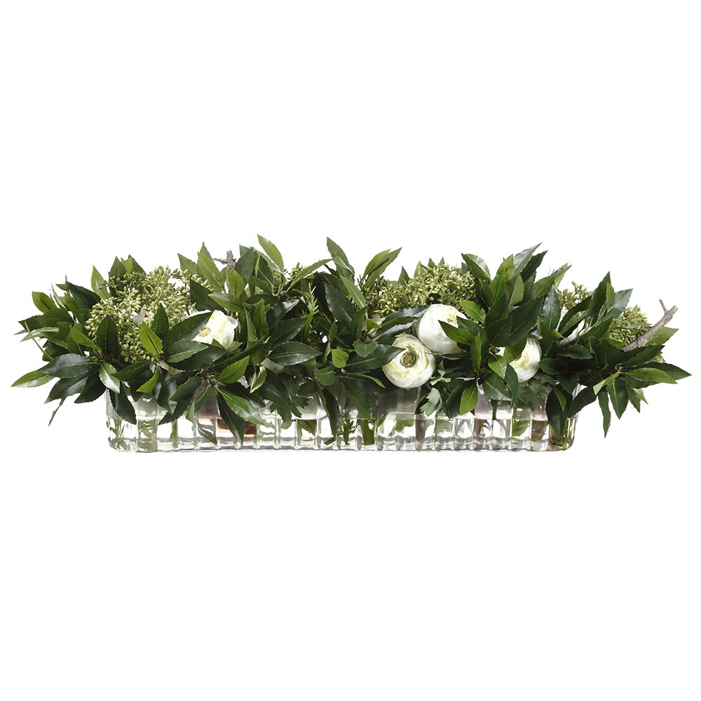 Sweet Bay Leaf/ Ranunculus Arrangement in 4"hx 4.5"wx25"l Ribbed Glass Vase G