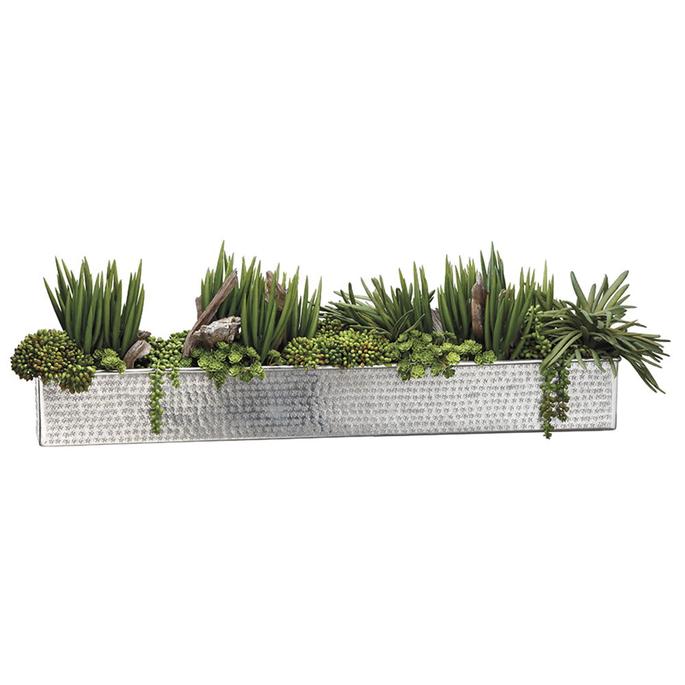 Senecio/Succulent/Sedum in Aluminum Rectangular Planter G
