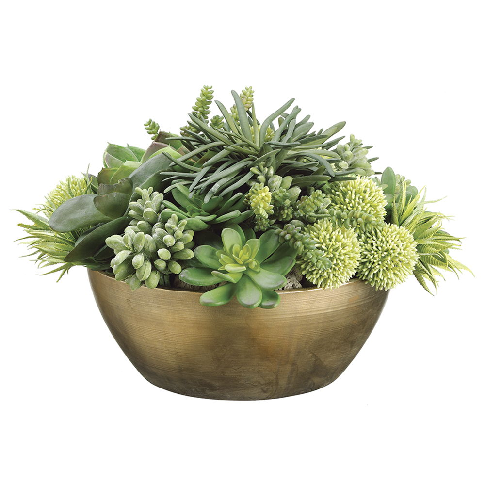Echeveria/Succulent/Allium in Metal Container Light Green