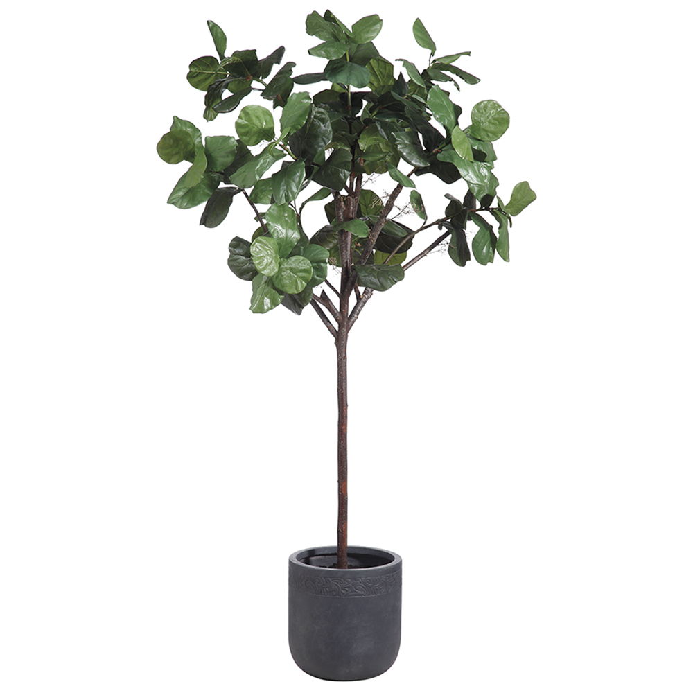 Fiddle Leaf Tree in Clay Planter Green