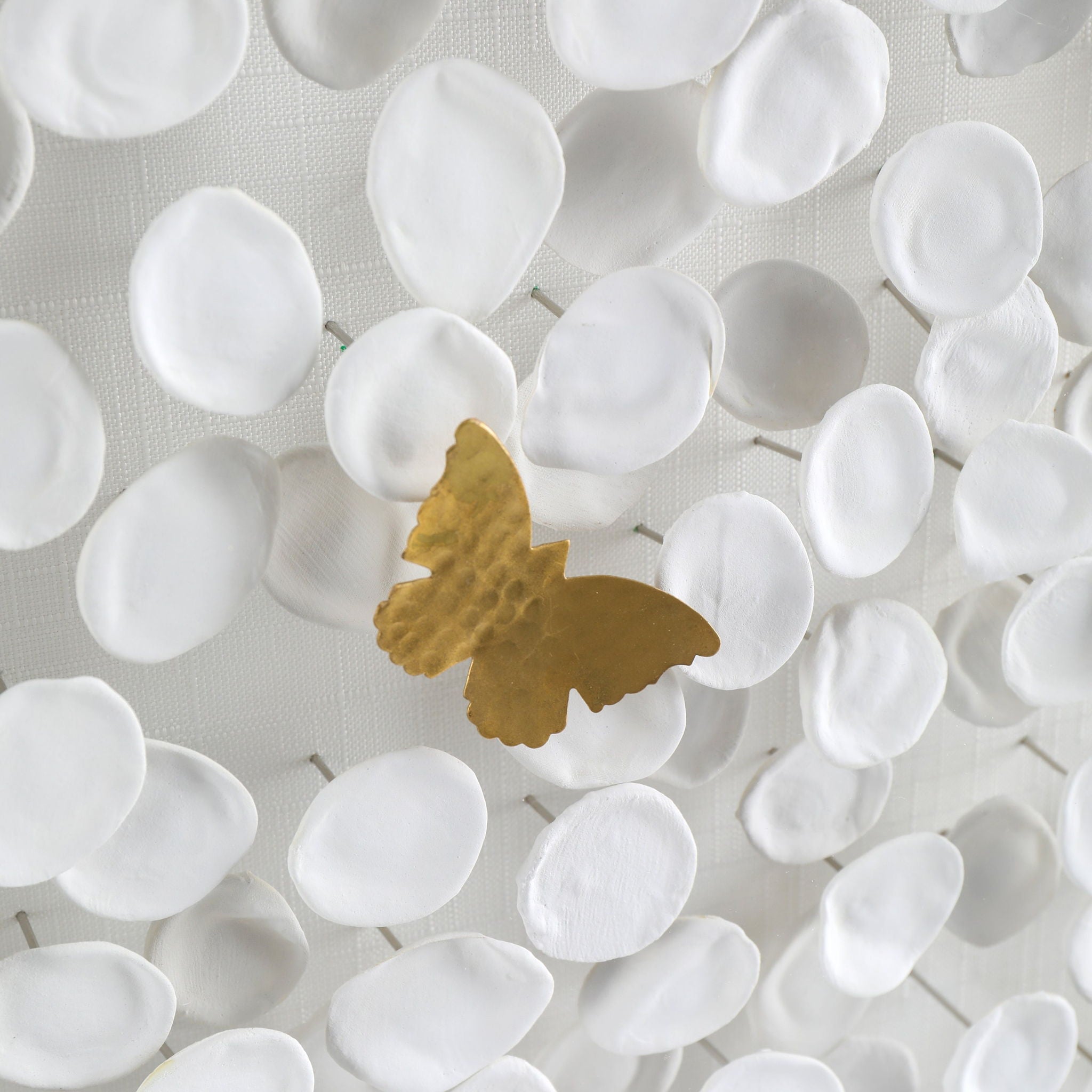 Petals and Butterflies