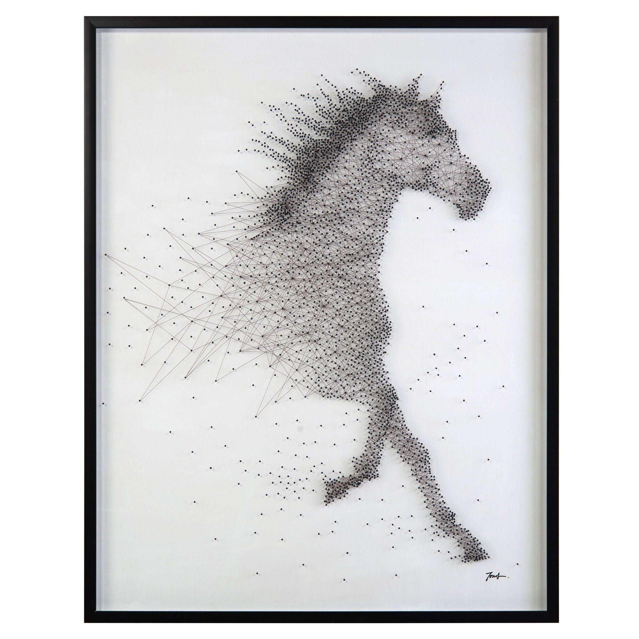Tony Fey's Sprinting Stallion