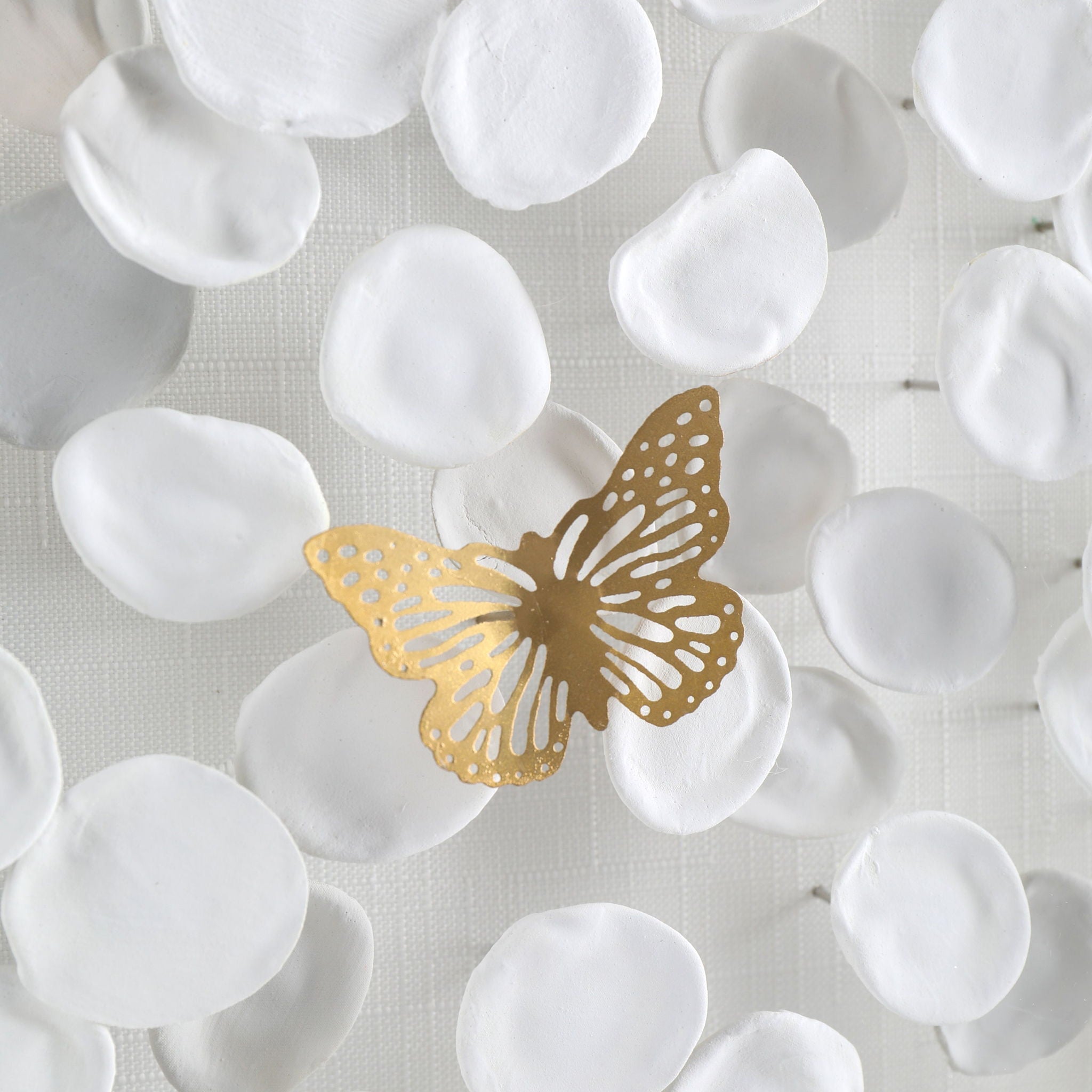 Petals and Butterflies